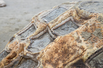 stone texture on moeraki boulders beach on cloudy day in new zealand