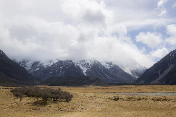 Crédence de cuisine en plexiglas Aoraki/Mount Cook landscape of dry meadow with tree on mount cook covered with clouds in new zealand in spring