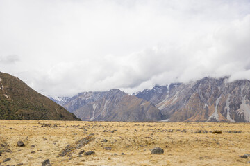 dry meadow with snowy mount cook in the background in new zealand