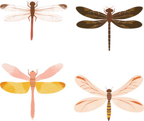 Dragonfly elements object isolate illustration vector.	
