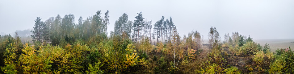 Panorama of the forest in the morning in the autumn fog.