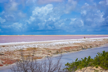 Pink water at the Bonaire Salt Ponds. 