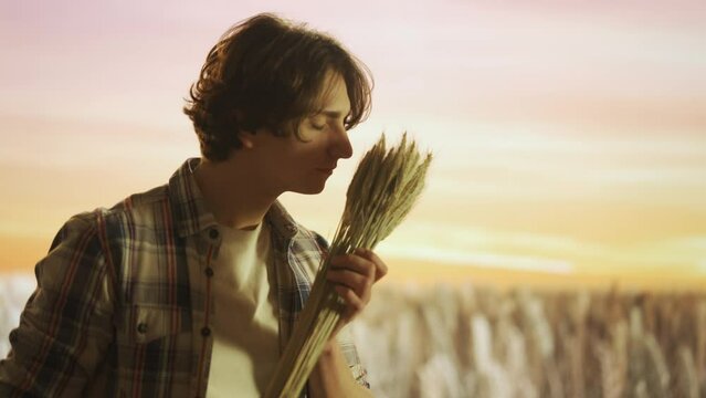 Farmer against large field of wheat at sunset. Man agronomist standing in the farm field, holding wheat ears in hands with care, checking smiling positive.