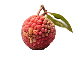 Lychee isolated fruits on transparent background