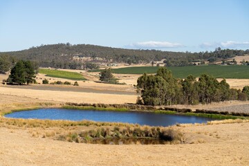 Water dam on a farm in a field surrounded by trees and green grass  in australia