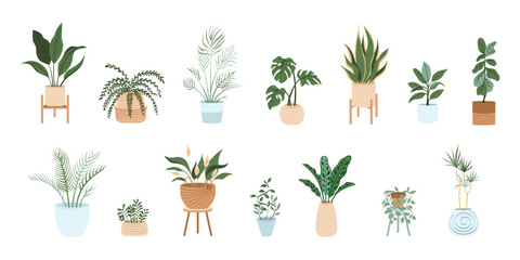 Potted plants set. Interior houseplants in planters, baskets, flowerpots. Home indoor green decor. Flat graphic vector illustrations isolated on white background