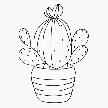 cute cactus, cereus peruvianus, white background, vector illustration line art