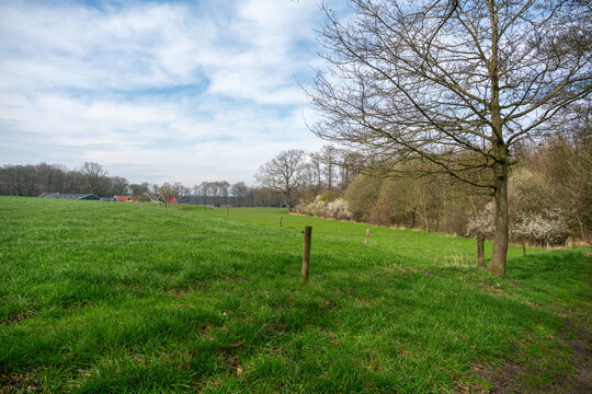 Earthworks in Kotten (Winterswijk, The Netherlands).