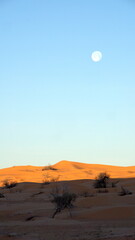 Sunrise casting a shadow over the Sahara Desert, with a full moon above, outside of Douz, Tunisia