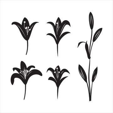 A black silhouette Lily flower set

