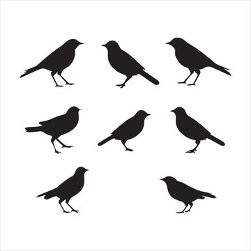 A black silhouette Lark bird set

