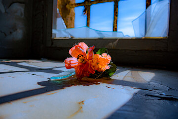 Nahaufnahme von einer Blume vor einem vergitterten Fenster in einem alten verlassenen Gefängnis....