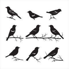 A black silhouette Jay bird set
