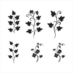 A black silhouette Ivy flower set
