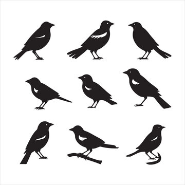 A black silhouette Jay bird set

