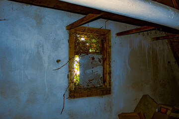 Kleines altes Fenster durch das von außen Pflanzen hinein wachsen