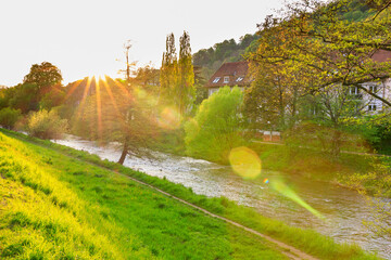 Frühling in Freiburg im Breisgau, am Fluß Dreisam