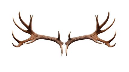 Deer antlers on white or transparent background - obrazy, fototapety, plakaty