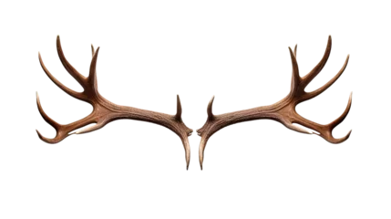 Stoff pro Meter Deer antlers on white or transparent background © Tabassum