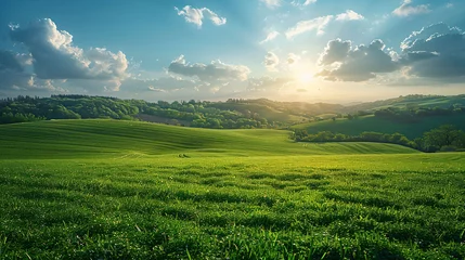 Tuinposter Beautiful natural spring summer landscape of meadow in a hilly area on a bright sunny day. Field with young juicy green grass. © Muhammad