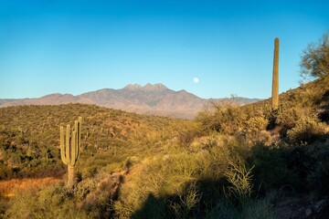 Full Moon Rising over Four Peaks, Superstitions Mountain Wilderness.  Scenic Sonoran Desert Landscape, Apache Trail Arizona USA