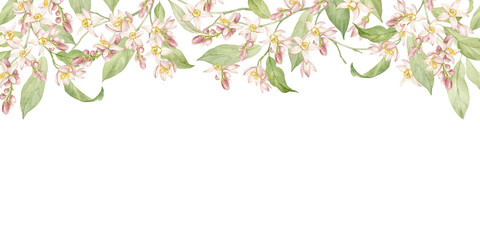 Banner made of blossoming lemon branches. All elements are hand-drawn in watercolor and isolated