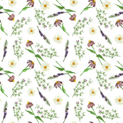 Watercolor pattern. Meadow grasses and flowers of echinacea, heather, oregano hand-drawn in watercolor on a white background. Suitable for printing on fabric and paper, design, wallpaper, scrapbooking