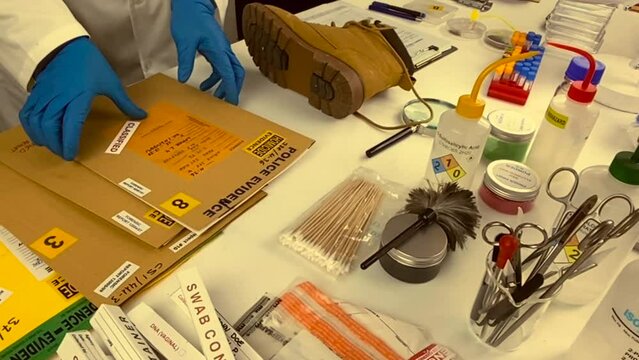 Forensic scientist investigates shoeprint mould evidence in crime lab