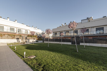 Interior of an urbanization with grass and young trees