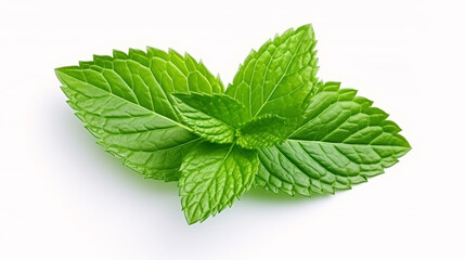 Mint leaf. Fresh mint on white background. Mint leaves isolated. Full depth of field. 