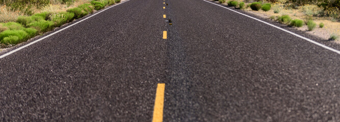 Desert Solitude: 4K Ultra HD Image of Empty Desert Road with Joshua Tree