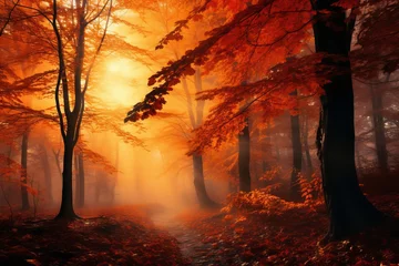 Fototapeten The fiery colors of a forest in autumn © KerXing