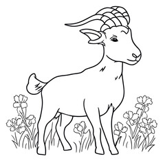 grown up goat in a cattle, vector illustration line art