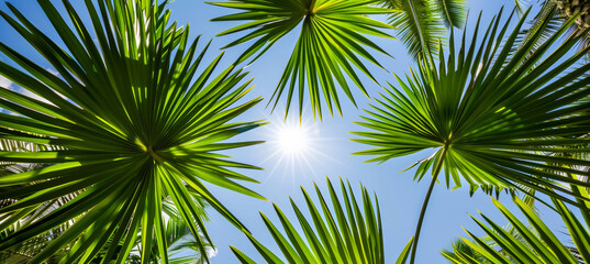 Fototapeta premium Serenity in Nature, Silhouetted Palm Leaves under Azure Skies