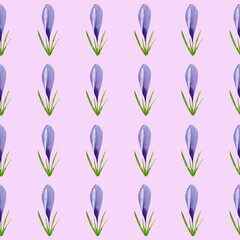 Watercolor spring crocuses seamless pattern, spring flower digital paper on pink background. Hand painted floral illustration. For textile design, packaging, wrapping paper, wallpaper, scrapbooking.