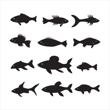 A black silhouette Fish set
