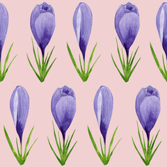 Watercolor spring crocuses seamless pattern, spring flower digital paper on pink background. Hand painted floral illustration. For textile design, packaging, wrapping paper, wallpaper, scrapbooking.