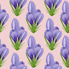 Watercolor spring crocuses seamless pattern, spring flower digital paper on pink background. Hand painted floral illustration. For textile design, packaging, wrapping paper, wallpaper, scrapbooking.