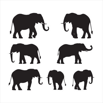 A black silhouette Elephant set

