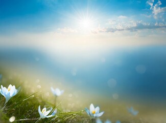 Fototapeta na wymiar Beautiful sunny spring meadow with green grass and blue sky. 