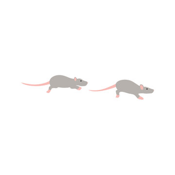 illustration of a mouse running