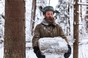 Winter snowy forest, winter. A forester carries sawn stumps close-up. Preparation of firewood....