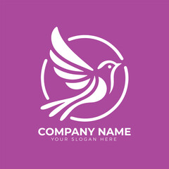 Bird logo design vector
