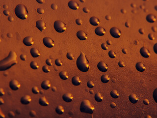 macro photo of water drops	