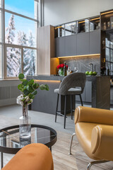 huge modern spacious apartment with high ceilings, panoramic windows with fantastic view, wooden decor, kitchen area, separate shower in greenery and dressing room