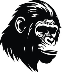 Fototapeta premium ape silhouette