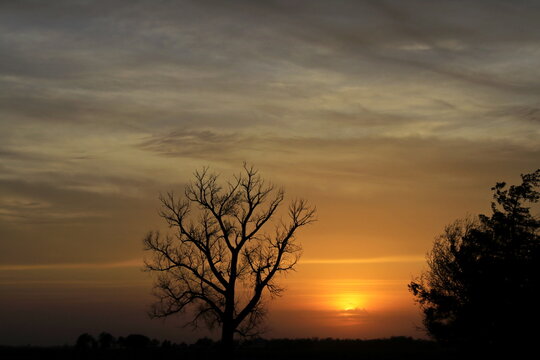 sunset with tree silhouettes with clouds