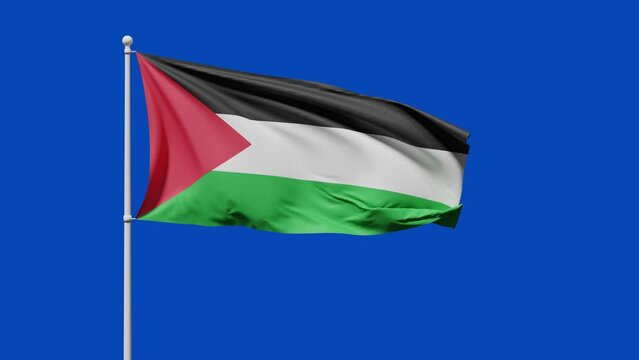 Flag of Palestine with black, white, green stripes and red triangle flutters in the wind against a blue screen background or chroma key