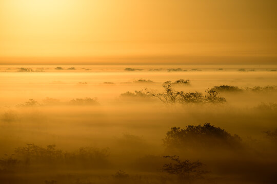 Sunrise over the cloud forest