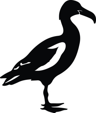 recommend clip art: albatross silhouette